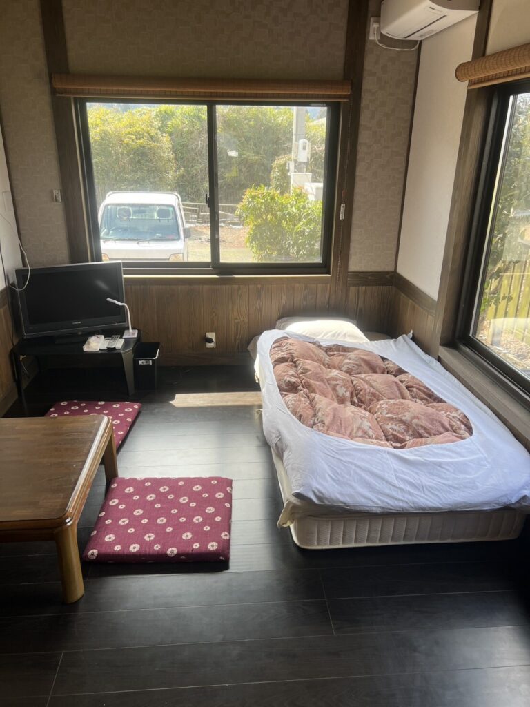 格安部屋 コスモス 室内